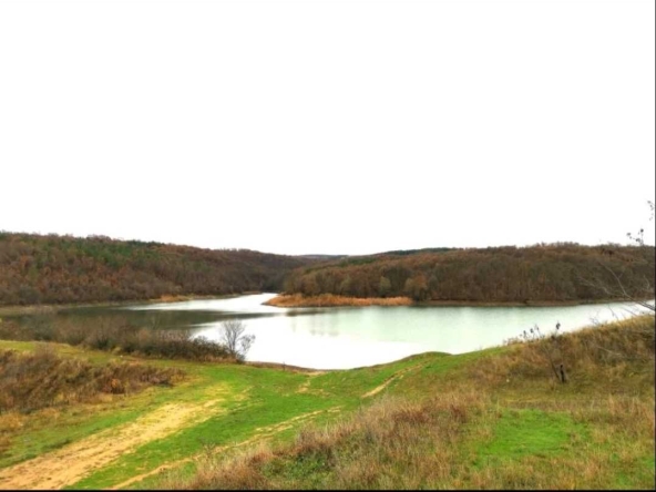 Земеделски имот в Сунгурларе -  кв.м за 1054 €/дка - Снимка #1