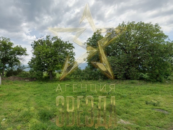 Парцел в с. Ягодово, Област Пловдив - 1000 кв.м за 32 €/кв.м - Снимка #1