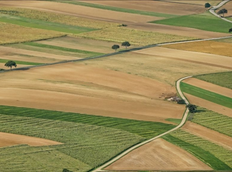 Земеделски имот в с. Устина, Област Пловдив -  кв.м за 90 €/дка - Снимка #1