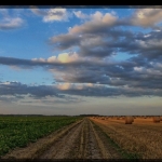 Земеделски имот в Пловдив, Каменица 1 -  кв.м за 43 €/дка - Снимка #1