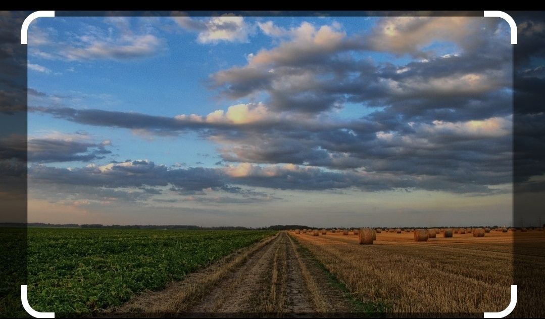 Земеделски имот в Пловдив, Каменица 1 -  кв.м за 43 €/дка - Снимка #1