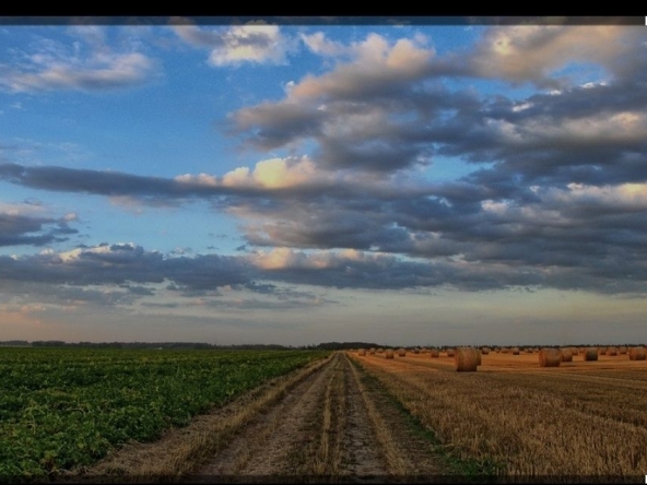 Земеделски имот в Пловдив, Каменица 1 -  кв.м за 43 €/дка - Снимка #1