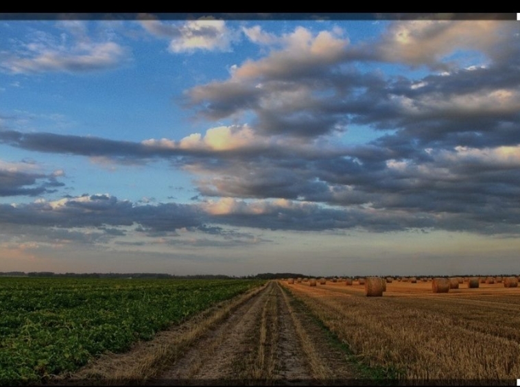 Земеделски имот в Пловдив, Каменица 1 -  кв.м за 43 €/дка - Снимка #1