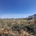 Дава се под наем Парцел в с. Кичево, Област Варна - 2311 кв.м за 700 € - Снимка #1