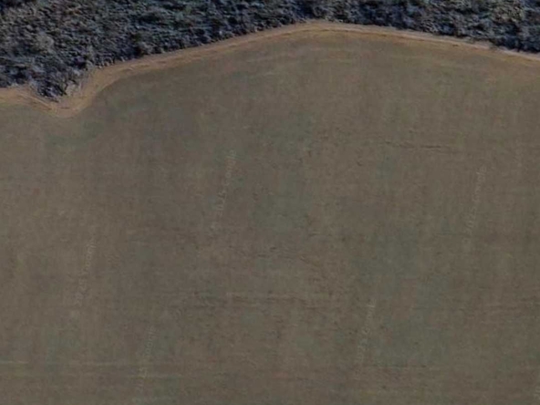 Земеделски имот в Русе, Алеи Възраждане -  кв.м за 72 €/дка - Снимка #1