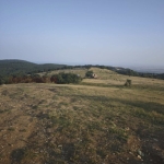 Парцел в с. Кошарица, Област Бургас - 8828 кв.м за 35 €/кв.м - Снимка #1