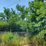 Парцел в с. Мерданя, Област Велико Търново - 744 кв.м за 19 €/кв.м - Снимка #1