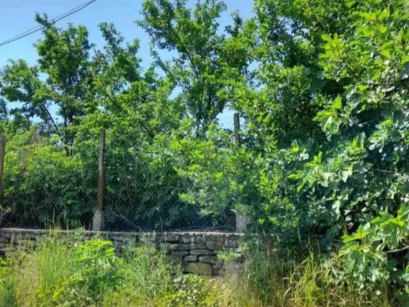 Парцел в с. Мерданя, Област Велико Търново - 744 кв.м за 19 €/кв.м - Снимка #1