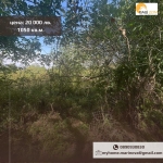 Парцел в Търговище, Център - 1050 кв.м за 7 €/кв.м - Снимка #1