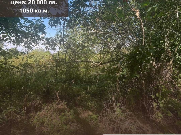 Парцел в Търговище, Център - 1050 кв.м за 7 €/кв.м - Снимка #1