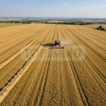 Земеделски имот в с. Църква, Област Добрич -  кв.м за 663 €/дка - Снимка #1