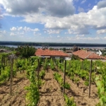 Къща в Силистра, Малчика - 960 кв.м за 42 €/кв.м - Снимка #1