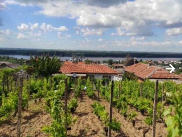 Къща в Силистра, Малчика - 960 кв.м за 42 €/кв.м - Снимка #1