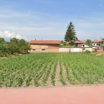 Парцел в с. Бошуля, Област Пазарджик - 1350 кв.м за 19 €/кв.м - Снимка #1