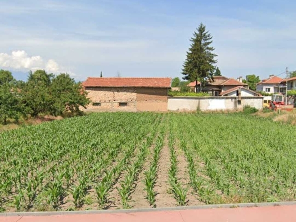 Парцел в с. Бошуля, Област Пазарджик - 1350 кв.м за 19 €/кв.м - Снимка #1