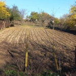 Парцел в с. Манастир, Област Варна - 610 кв.м за 13 €/кв.м - Снимка #1