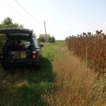 Парцел в с. Голям чардак, Област Пловдив - 675 кв.м за 23 €/кв.м - Снимка #1