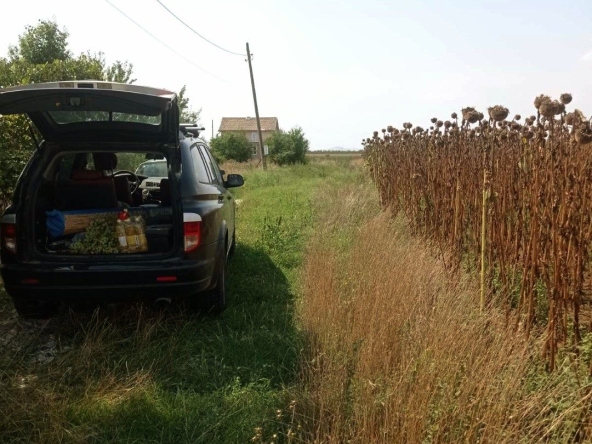 Парцел в с. Голям чардак, Област Пловдив - 675 кв.м за 23 €/кв.м - Снимка #1