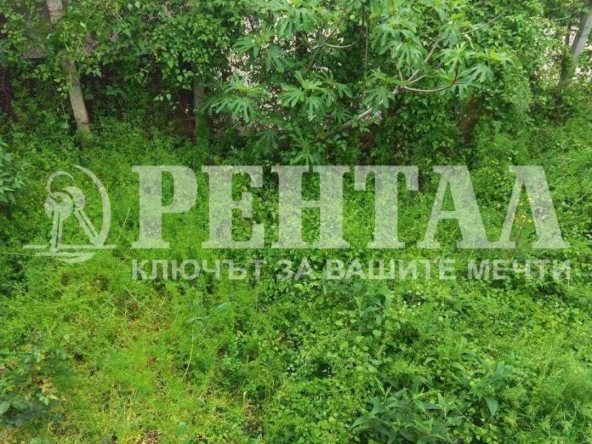 Къща в с. Бачково, Област Пловдив - 110 кв.м за 473 €/кв.м - Снимка #1