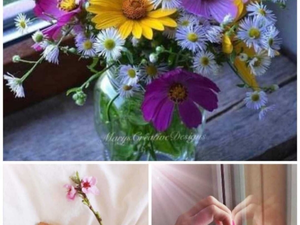 Дава се под наем  в Пловдив, Тракия -  кв.м за 255 € - Снимка #1