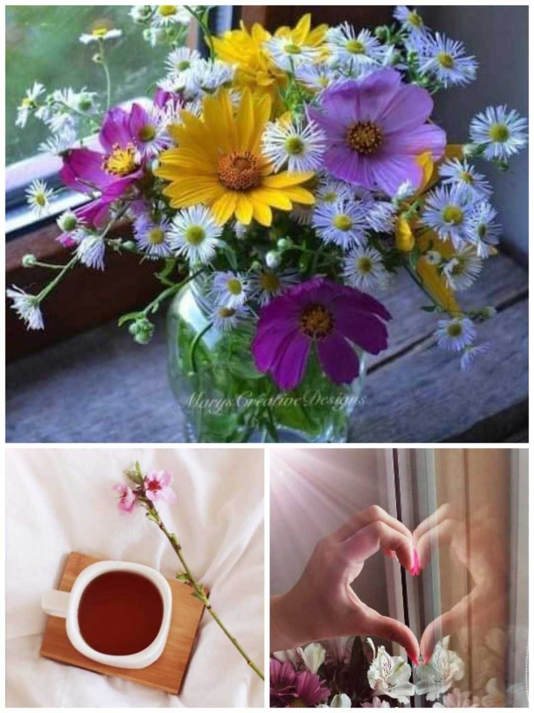 Дава се под наем  в Пловдив, Тракия -  кв.м за 255 € - Снимка #1