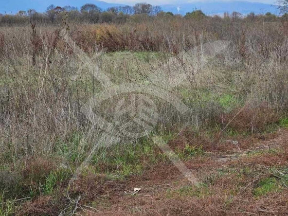 Парцел в с. Чепинци, Област София-град - 3260 кв.м за 93 €/кв.м - Снимка #1