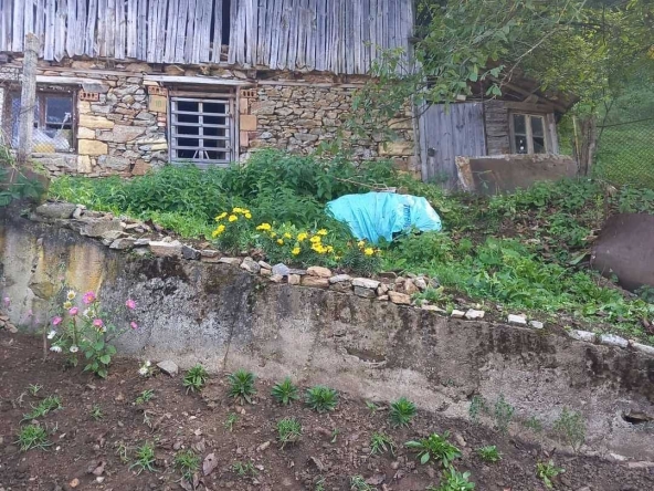 Къща в Смолян, Петровица - 64 кв.м за 120 €/кв.м - Снимка #1