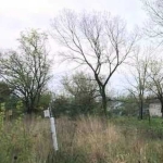 Парцел в с. Мерданя, Област Велико Търново - 700 кв.м за 17 €/кв.м - Снимка #1