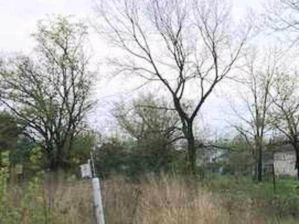 Парцел в с. Мерданя, Област Велико Търново - 700 кв.м за 17 €/кв.м - Снимка #1