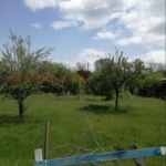 Парцел в Елин Пелин - 630 кв.м за 77 €/кв.м - Снимка #1