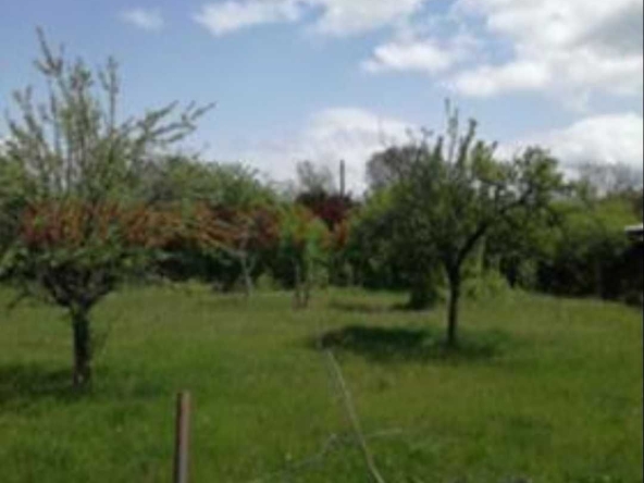 Парцел в Елин Пелин - 630 кв.м за 77 €/кв.м - Снимка #1