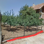 Парцел в Белово - 648 кв.м за 32 €/кв.м - Снимка #1