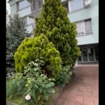 Дава се под наем Двустаен апартамент в София, Център - 65 кв.м за 117300 € - Снимка #1