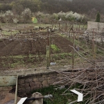 Дава се под наем Парцел в с. Ботуня, Област Враца - 600 кв.м за 51 € - Снимка #1