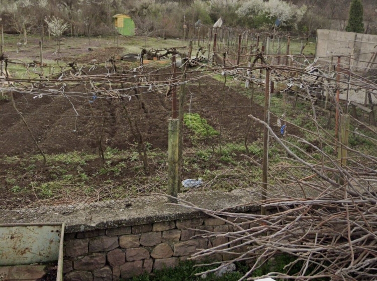 Дава се под наем Парцел в с. Ботуня, Област Враца - 600 кв.м за 51 € - Снимка #1