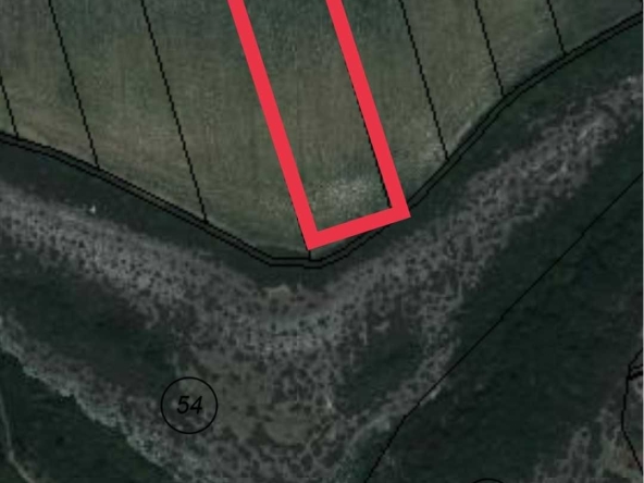 Земеделски имот в Плевен, Сторгозия -  кв.м за 1247 €/дка - Снимка #1