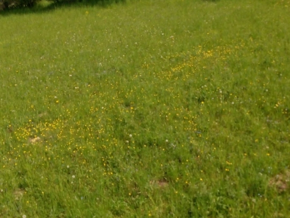 Земеделски имот в с. Момчиловци, Област Смолян -  кв.м за 32640 €/дка - Снимка #1