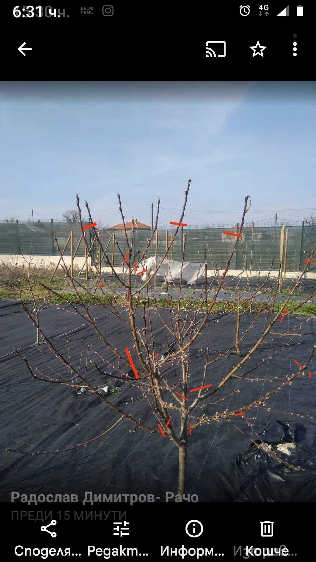 Парцел в с. Дълго поле, Област Пловдив - 729 кв.м за 52 €/кв.м - Снимка #1
