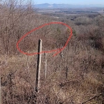 Парцел в с. Паволче, Област Враца - 526 кв.м за 3 €/кв.м - Снимка #1