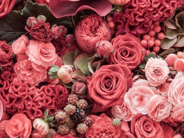 Тристаен апартамент в Плевен, Сторгозия - 90 кв.м за 1056 €/кв.м - Снимка #1