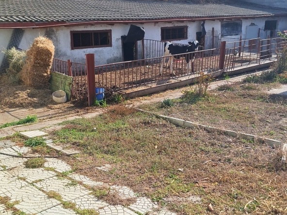 Заведение в Асеновград - 1100 кв.м за 35 €/кв.м - Снимка #1