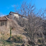 Парцел в с. Божичен, Област Русе - 936 кв.м за 33 €/кв.м - Снимка #1