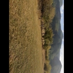 Парцел в Белене - 1117 кв.м за 36 €/кв.м - Снимка #1