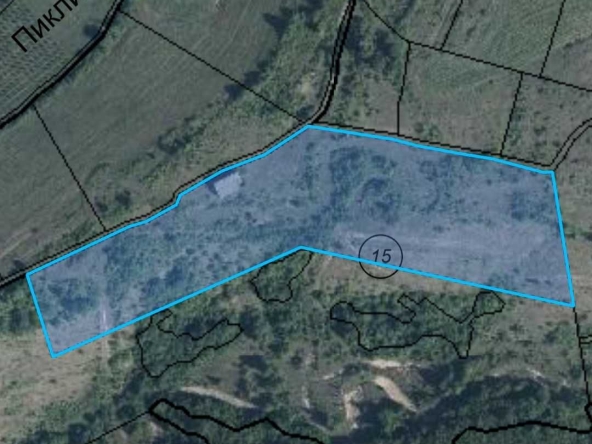 Парцел в с. Горно Павликене, Област Ловеч - 30000 кв.м за 1 €/кв.м - Снимка #1