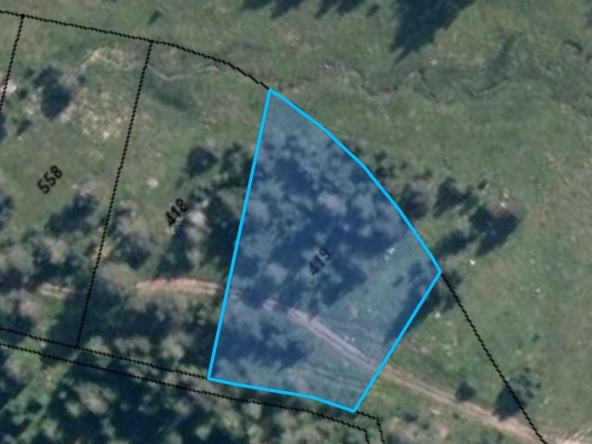 Земеделски имот в Батак -  кв.м за 5100 €/дка - Снимка #1