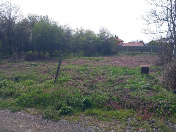 Парцел в с. Дълбоки, Област Стара Загора - 500 кв.м за 25 €/кв.м - Снимка #1