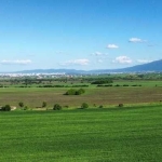 Земеделски имот в Божурище -  кв.м за 24500 €/дка - Снимка #1