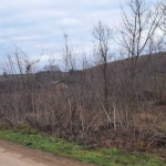 Парцел в Силистра, Център - 1700 кв.м за 3 €/кв.м - Снимка #1