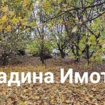 Парцел в с. Мало Конаре, Област Пазарджик - 585 кв.м за 21 €/кв.м - Снимка #1