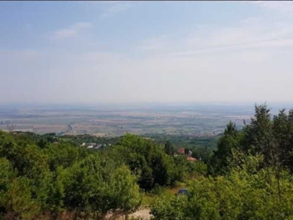 Парцел в с. Руен, Област Пловдив - 3362 кв.м за 28 €/кв.м - Снимка #1